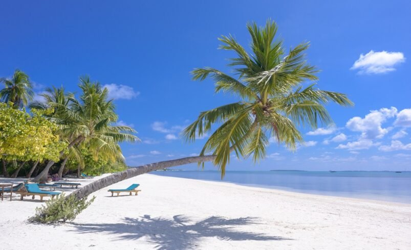 Top 5 Smart Home Gadgets That Make Everyday Life Easier